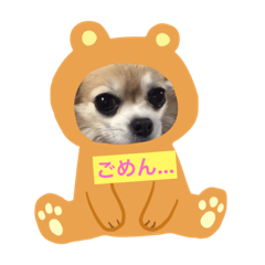 rika_20181215201102