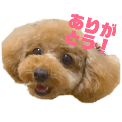 chihiro2_20181214183939