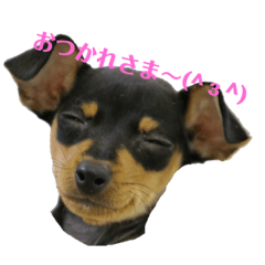 HIDE_20181213205437