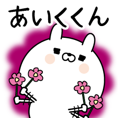 Name Sticker to send to Aikukun