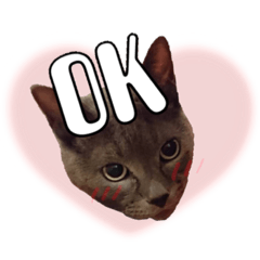 haruna_2018121902444