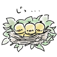 Yellow bird and his friends