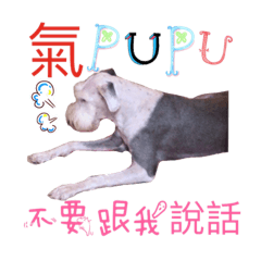超可愛閨女- 毛妹