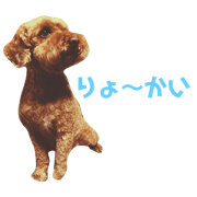 sagari_201812152224