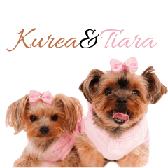 Kurea&Tiara cute Sticker No2