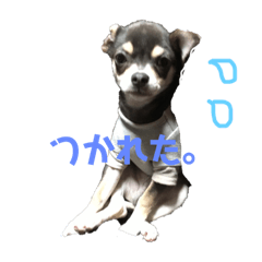 mayu_20181214035600