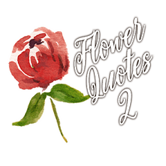 Flower Quotes 2