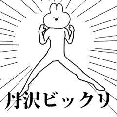 Rabbit Name tanzawa.moves!