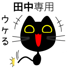 【田中】専用の黒猫です