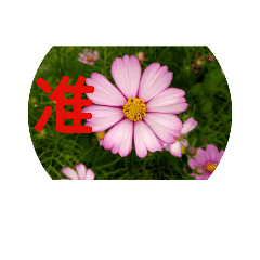 長輩圖01,時時來個暖心的關懷