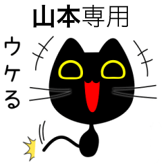 【山本】専用の黒猫です