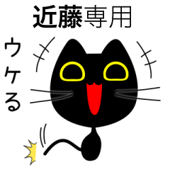 【近藤】専用の黒猫です