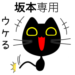【坂本】専用の黒猫です