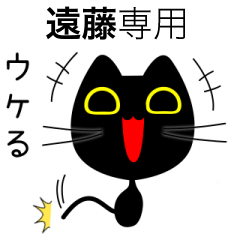 【遠藤】専用の黒猫です