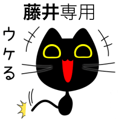 【藤井】専用の黒猫です