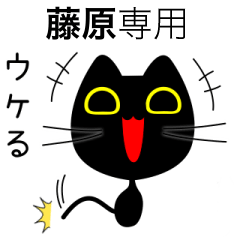 【藤原】専用の黒猫です
