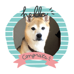 maple!_20181219132431