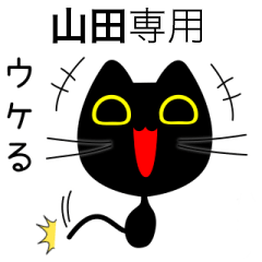 【山田】専用の黒猫です