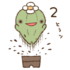 Togemaru of a Cactus2