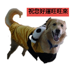 鳳梨&旺旺