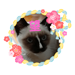 Nozomi_20181219181445