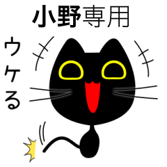 【小野】専用の黒猫です