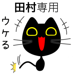 【田村】専用の黒猫です