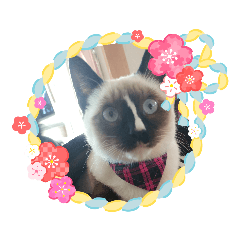 Nozomi_20181219184444