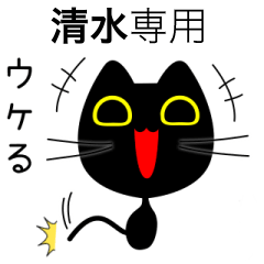 【清水】専用の黒猫です