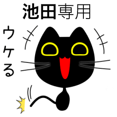 【池田】専用の黒猫です