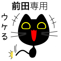【前田】専用の黒猫です