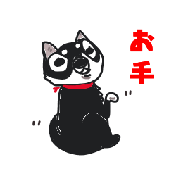dog kuromameshiba