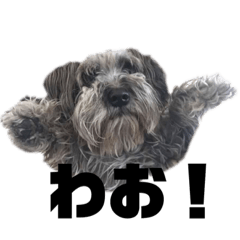 akiko_20181218153555