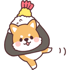 fluffy fat Shiba5