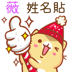 ”薇 冬季限定”扭扭貓姓名貼Q