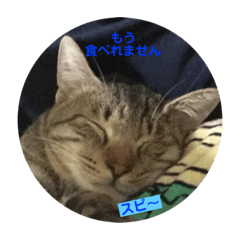 kaito_20181219131819