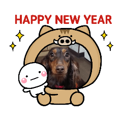 cocoa_20181219193833