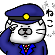Cat(wide)3