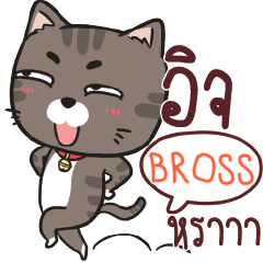 BROSS charcoal meow e