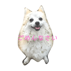 haruru_20181213212228
