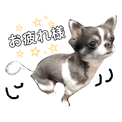 arisa_20181214025336