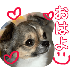 chiiai_20181215100038