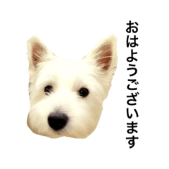 DAIFUKU sticker 3