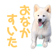 Natsuki Ishii_20181217030403