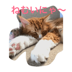 Sho_Rie