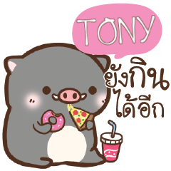 TONY pig pig lovely e