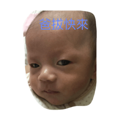 哈囉我是雙寶弟