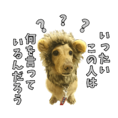 Our pet's Marukuru (normal version)