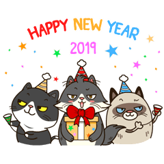 New Year - Fat Cat Your Friend