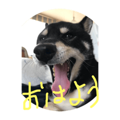 yukko_20181219210904